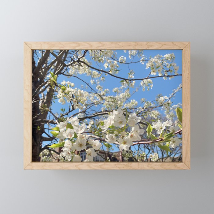 White Spring Flowers Framed Mini Art Print