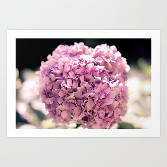 The beautiful hydrangea Art Print