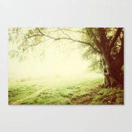 The Wizard Tree Canvas Print