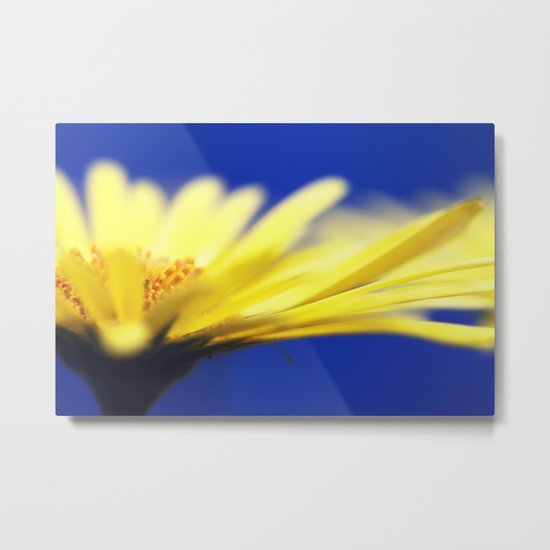 Doronicum Metal Print