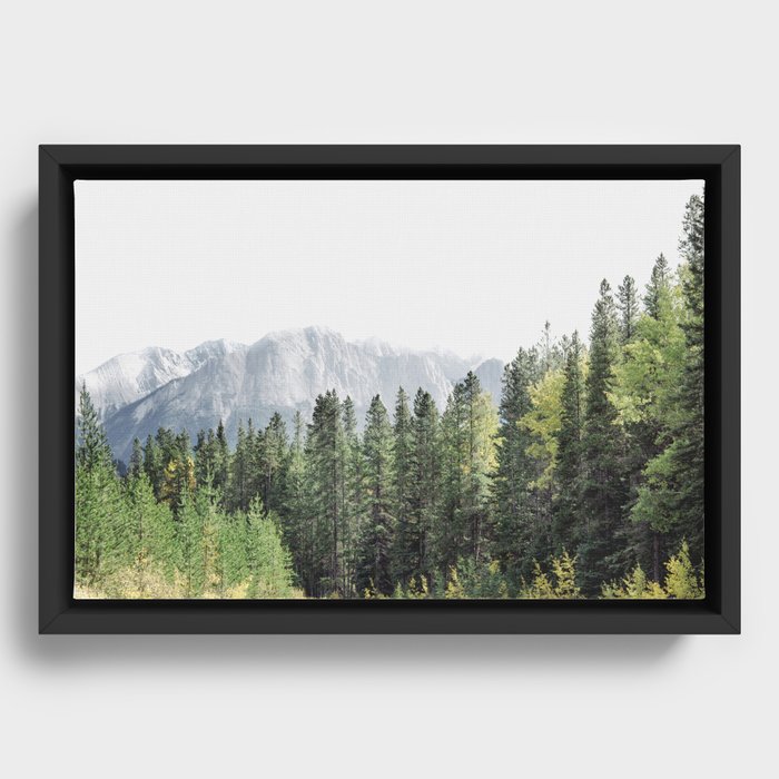 Treeline - Nature and Landscape Photography Framed Canvas