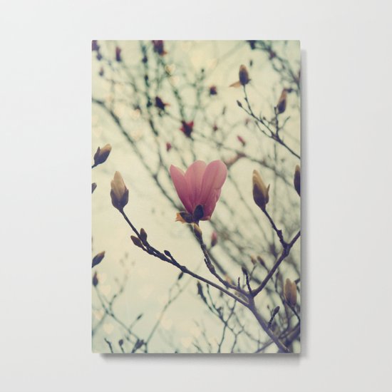 An Early Spring, Branches in bloom and bud Metal Print
