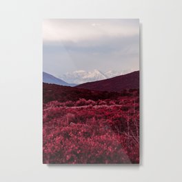 Colorado Mountain Valley - Infrared Metal Print
