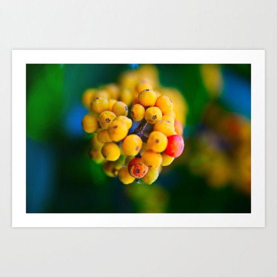 In the shape of a heart. Art Print