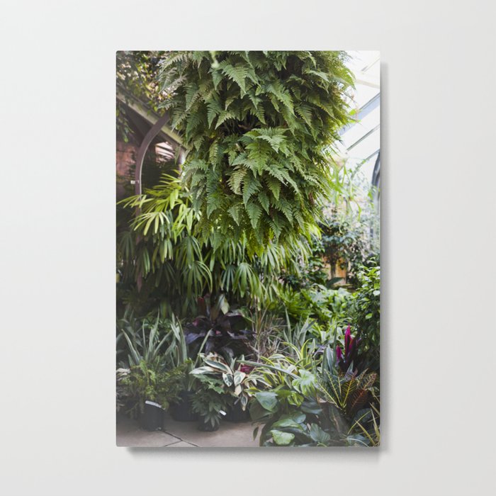 Greenhouse 004 Metal Print