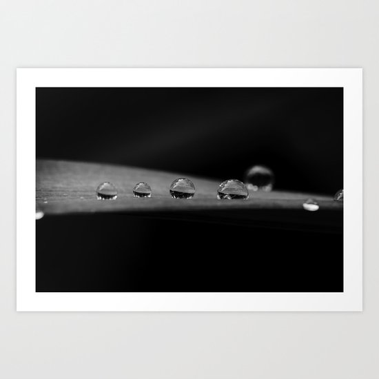 drops in black and white Art Print