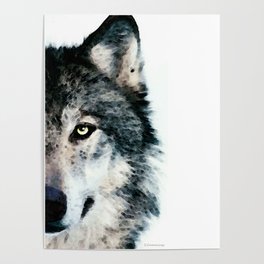 Wolf Art - Timber by Sharon Cummings Poster