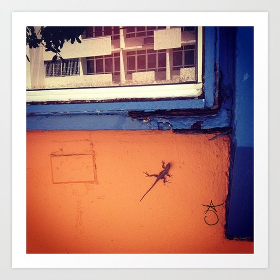Lizard in Puerto Rico Art Print
