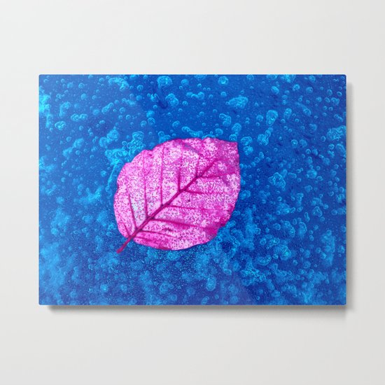 frosty pink leaf II Metal Print
