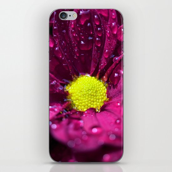 purple bloom II iPhone Skin