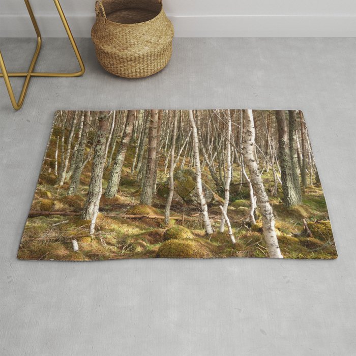 Birch and Pine Trees Gathering Place in the Scottish Highlands  Rug