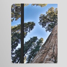 Redwood big; redwoods of California; John Muir woods giant trees nature landscape color photograph / photography iPad Folio Case