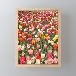 Tulip Festival Framed Mini Art Print