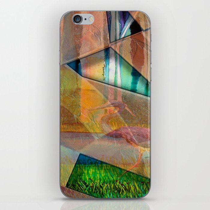 Climate Change iPhone Skin