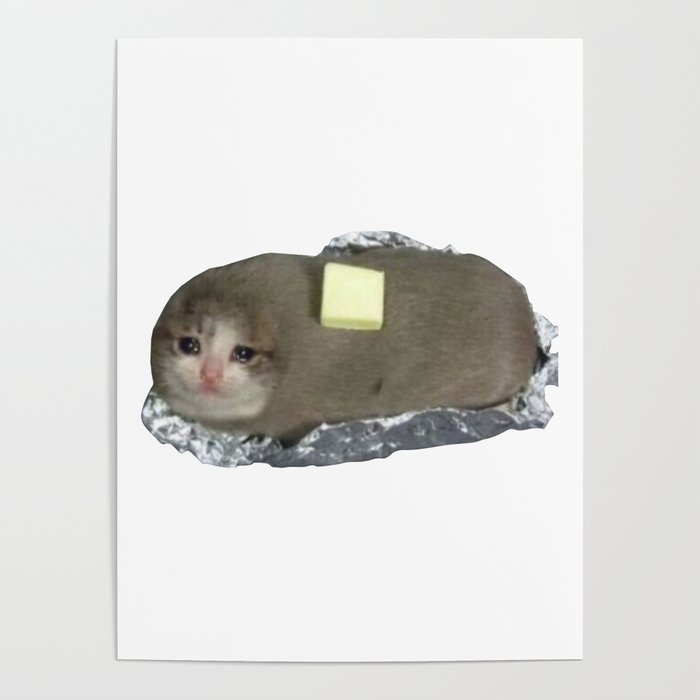 Crying cat meme | Metal Print