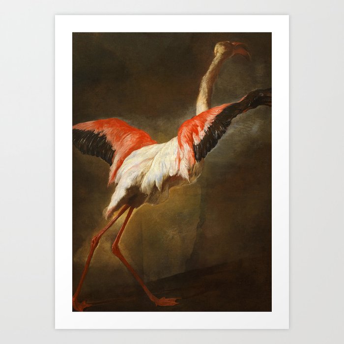 Flamingo by Pieter Boel Art Print