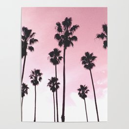 Palms & Sunset Poster
