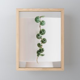 String of Turtles Framed Mini Art Print
