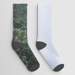 foggy austrian forest Socks
