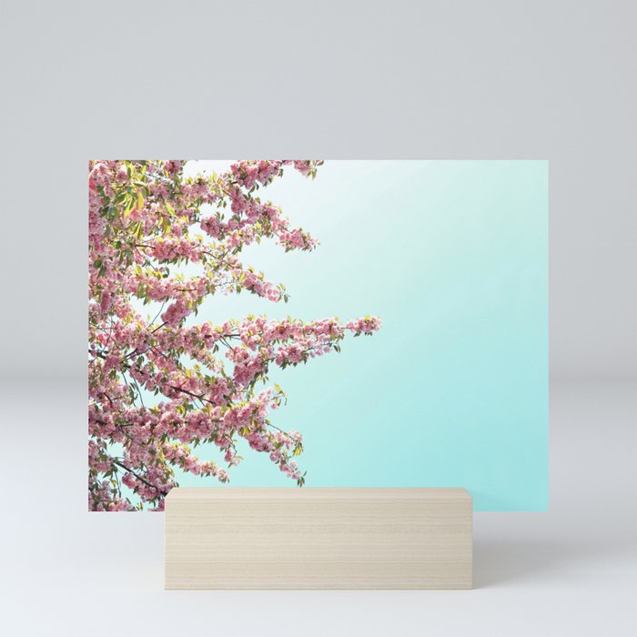 Pink Flowers on Aqua Blue Mini Art Print