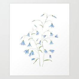 blue harebell flowers watercolor 2021 Art Print