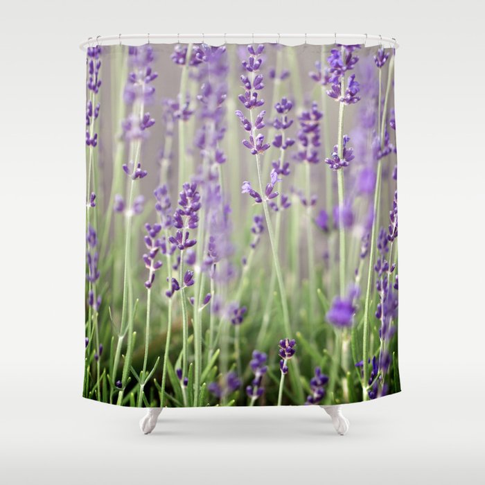 Lavender Shower Curtain