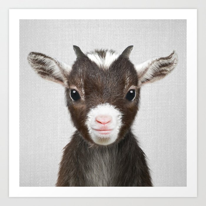 Baby Goat - Colorful Art Print