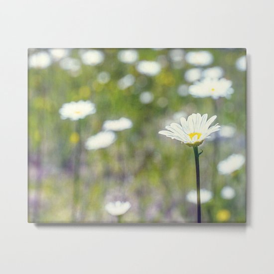 painted field Metal Print