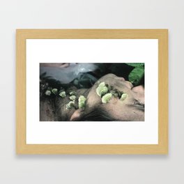 Sloth (close-up) Framed Art Print