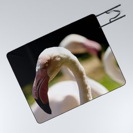 Greater flamingo birds Picnic Blanket