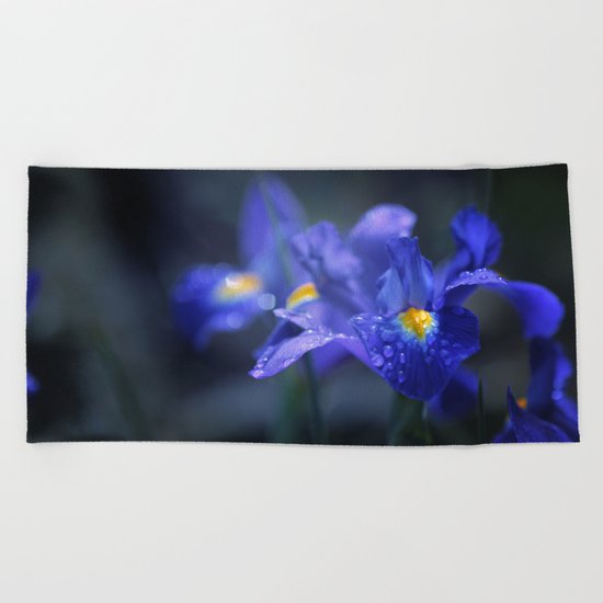 Iris Beach Towel