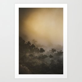 Tijuca Forest nº 18 Art Print