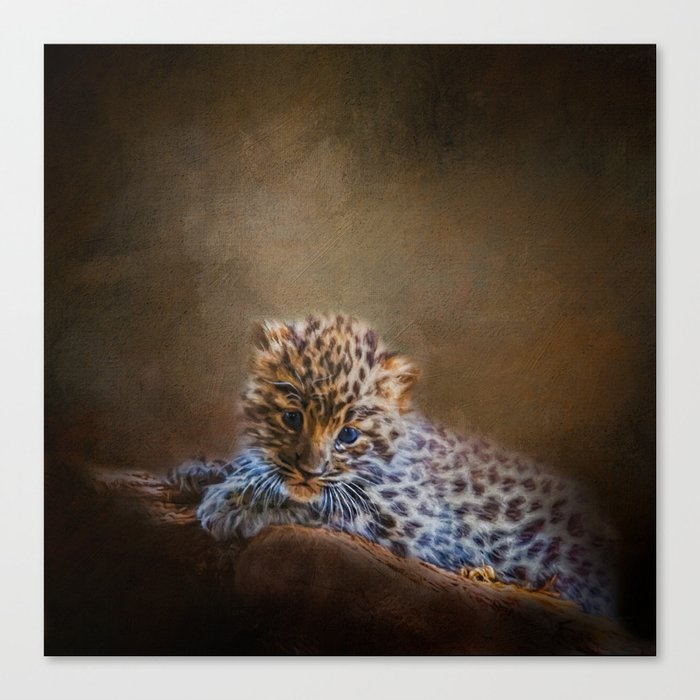 Cute painting amur leopard cub Canvas Print