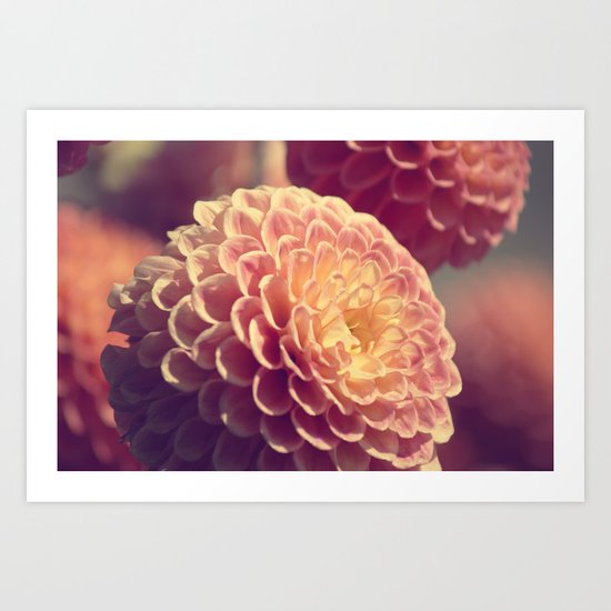 Bloom Art Print