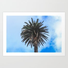 Palm Tree in Blue Skies Art Print