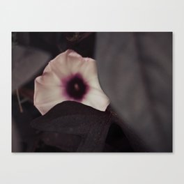 Moody Purple Canvas Print