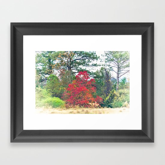 Touch of Red Framed Art Print