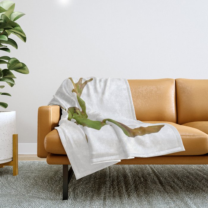 European Green Tree Frog Isolated Throw Blanket