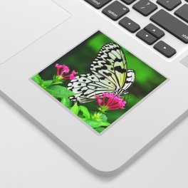 Butterfly and Pink Flowers Sticker