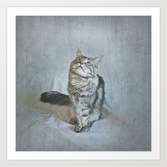 C A T Art Print