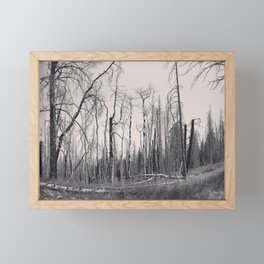 Dead and Deserted  Framed Mini Art Print