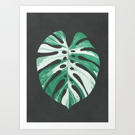 Monstera deliciosa variegata leaf Art Print