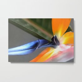 Abstract Painting Close Up Of Strelitzia Flower Metal Print