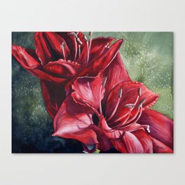 Red Amaryllis Flowers Canvas Print