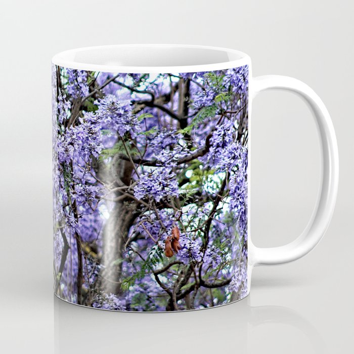  Jacaranda Tree Branch Flowering Blooming Spring Flowers  Coffee Mug
