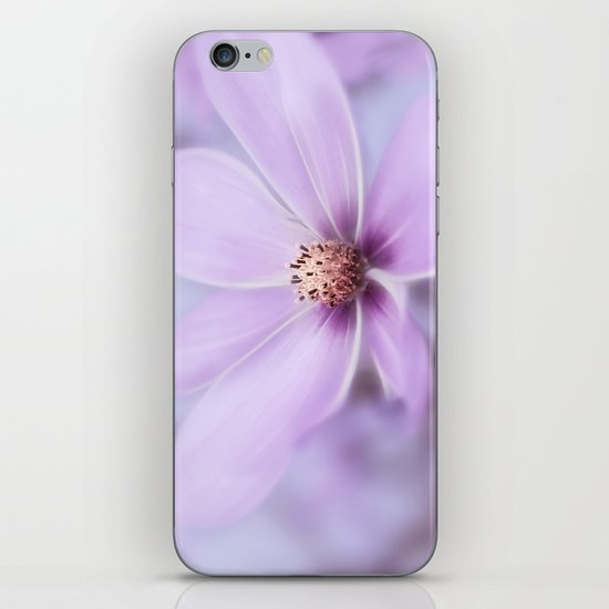 Purple Cosmea iPhone & iPod Skin