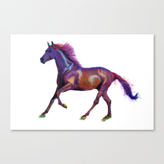 Horse Canvas Print