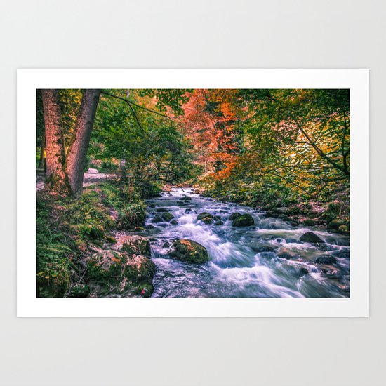 Mountain river Art Print