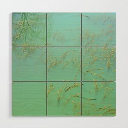 Dreamy Lake - turquoise water photograph Wood Wall Art