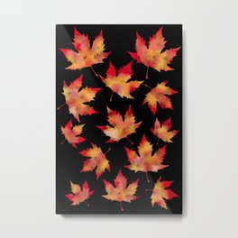 Maple leaves black Metal Print